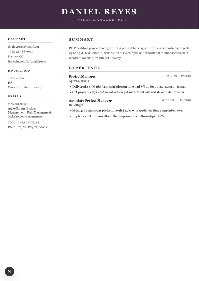 Project Manager resume example